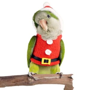 bird clothes birds flight suit, christmas hoodie for parrots cockatiel sun conure christmas party cosplay photo prop bird shirt small animals apparel (without diaper,green quaker)