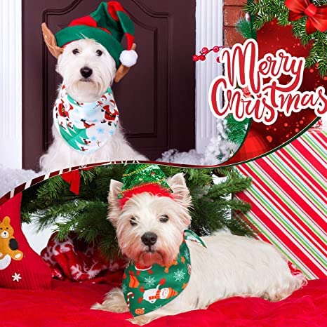 St Nicholas Square Paw Print Stocking with 2 Christmas Themed Pet Bandanas (Bandana Patterns Vary)