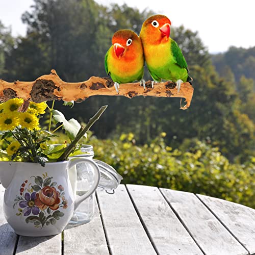 Ipetboom Bird Play Stand Wood Fish Sticks 2Pcs Bird Cage Parrot Stands Household Bird Perches Wear-Resistant Parrot Perches Bird Accessory Driftwood Parrot Platform Stand