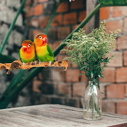 Ipetboom Bird Play Stand Wood Fish Sticks 2Pcs Bird Cage Parrot Stands Household Bird Perches Wear-Resistant Parrot Perches Bird Accessory Driftwood Parrot Platform Stand