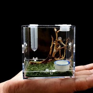 AWXZOM Spider Terrarium, Acrylic Reptile Breeding Box Jumping Spider Enclosure with Dropper Tongs Snail cage, Cricket Enclosure arboreal Tarantula Habitat