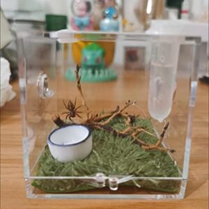 AWXZOM Spider Terrarium, Acrylic Reptile Breeding Box Jumping Spider Enclosure with Dropper Tongs Snail cage, Cricket Enclosure arboreal Tarantula Habitat