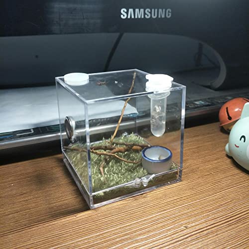 AWXZOM Spider Terrarium, Acrylic Reptile Breeding Box Jumping Spider Enclosure with Dropper Tongs Snail cage, Cricket Enclosure arboreal Tarantula Habitat