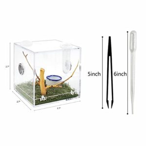 AWXZOM Spider Terrarium, Acrylic Reptile Breeding Box Jumping Spider Enclosure with Dropper Tongs Snail cage, Cricket Enclosure arboreal Tarantula Habitat