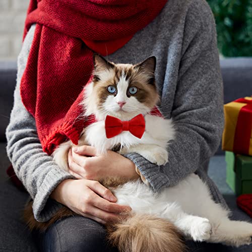 2 Pcs Velvet Cat Collar with Bell and Bowtie, Adjustable Breakaway Cat Collars Kitten Small Puppy Safety Bow Tie Solid Wedding Basic Color Cat Bow Tie Collar