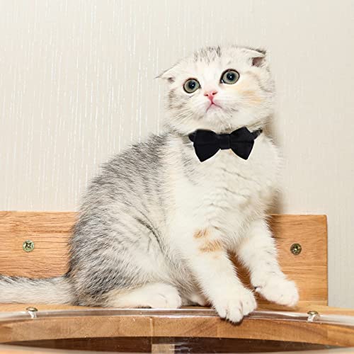 2 Pcs Velvet Cat Collar with Bell and Bowtie, Adjustable Breakaway Cat Collars Kitten Small Puppy Safety Bow Tie Solid Wedding Basic Color Cat Bow Tie Collar