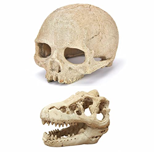 AWXZOM Dinosaur Skull Hideouts + Human Skull Decoration Reptiles hideouts Decorations, Fish Tank Decor, Bearded Dragon Tank Decor, Fish Aquarium Decor, arboreal Tarantula Decor, Snake Hide Decor