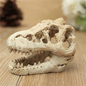 AWXZOM Dinosaur Skull Hideouts + Human Skull Decoration Reptiles hideouts Decorations, Fish Tank Decor, Bearded Dragon Tank Decor, Fish Aquarium Decor, arboreal Tarantula Decor, Snake Hide Decor