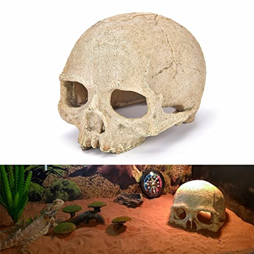 AWXZOM Dinosaur Skull Hideouts + Human Skull Decoration Reptiles hideouts Decorations, Fish Tank Decor, Bearded Dragon Tank Decor, Fish Aquarium Decor, arboreal Tarantula Decor, Snake Hide Decor