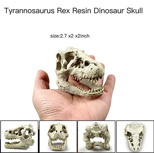 AWXZOM Dinosaur Skull Hideouts + Human Skull Decoration Reptiles hideouts Decorations, Fish Tank Decor, Bearded Dragon Tank Decor, Fish Aquarium Decor, arboreal Tarantula Decor, Snake Hide Decor