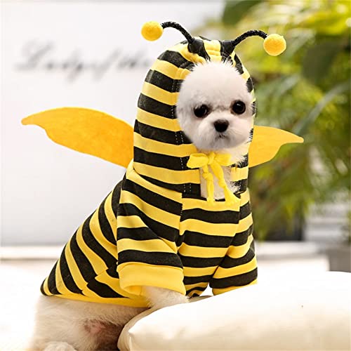 Pet Clothes for Medium Dogs Cartoon Bee Printing Sweater Cats Bee Sweater Set Bee Dressing Supplies Winter Sweater 6 Sizes Clothes for Small Dogs Girls Dress