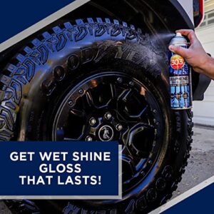 303 Products Graphene Tire Gloss – High Gloss Shine – UV Protection – Hydrophobic Spray Coating – Prevents Cracking and Dry Rot – 3 Months of Protection – 18 oz (30250)