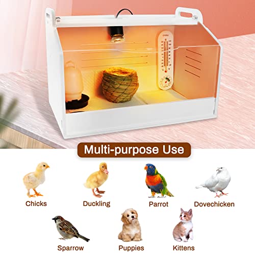 Chick Brooder Brooding Box for Chicks/Parrot/Duckling/Kittens/Puppies, with Heating lamp, Glass Window,Brooder Brooder Box Warms up to 15 Chicks,High Temperature Resistant Brooder Box (ChickBrooder1)