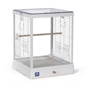 prevue pet products clear view glass bird cage crystal palace for small birds - white frame