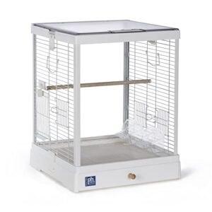 Prevue Pet Products Clear View Glass Bird Cage Crystal Palace for Small Birds - White Frame