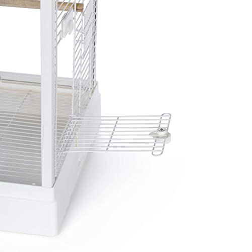 Prevue Pet Products Clear View Glass Bird Cage Crystal Palace for Small Birds - White Frame