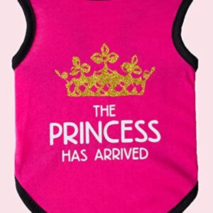 QWINEE Dog Shirt,Crown Print,Dog Vest Tank Top,Cute Puppy Clothes,Doggie Tee,Cat Dog Clothes Apparel for Small Medium Dogs Kitten Girl and Boy Multi-Colored Medium