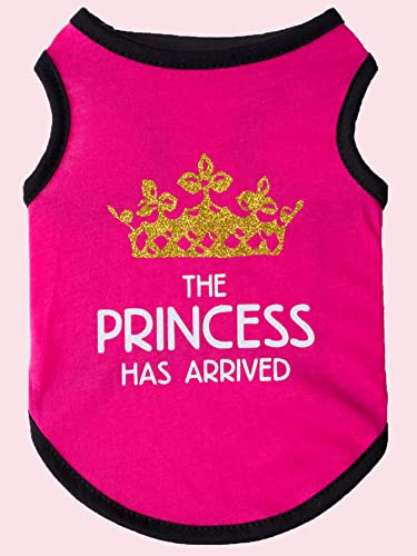 QWINEE Dog Shirt,Crown Print,Dog Vest Tank Top,Cute Puppy Clothes,Doggie Tee,Cat Dog Clothes Apparel for Small Medium Dogs Kitten Girl and Boy Multi-Colored Medium