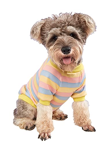 QWINEE Striped Dog Shirt,Puppy Sweatshirt,Kitten Clothes,Puppy T-Shirt,Cat Tee,Dog Apparel,Pet Clothes for Small Medium Dog Cat Multi-Colored X-Large