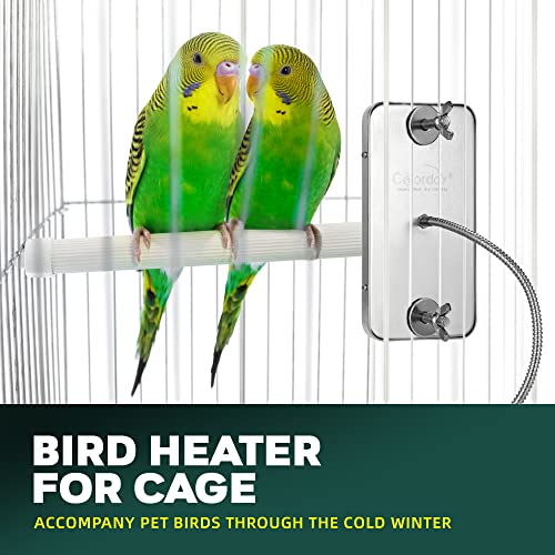 Colorday Bird Cage Heater Newly Upgraded Birds Warmer to Snuggle up for Parrots, Stainless Steel 5V USB 4"x7"