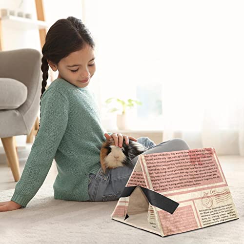 Y-DSIWX Guinea Pig House Bed, Rabbit Large Hideout, Small Animals Nest Hamster Cage Habitats Newspaper Retro