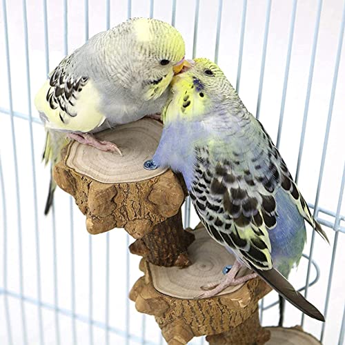 EastVita 17cm 4 Steps Ladder Bird Perch Platform Natural Wood Standing Playground for Parakeet Large Parrot Cage Climbing Toy