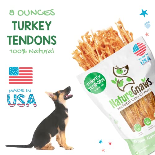 Nature Gnaws Turkey Tendons - Premium Natural Chew Treats - Delicious Reward Snack for Small Medium & Large Dogs - Made in The USA 8 oz Bag