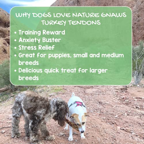 Nature Gnaws Turkey Tendons - Premium Natural Chew Treats - Delicious Reward Snack for Small Medium & Large Dogs - Made in The USA 8 oz Bag