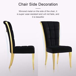 ACEDÉCOR Dining Chairs,Upholstered High end Velvet Dining Room Chair with Metal Back Ring Pull Trim Golden Legs, Modern Elegant Dining Chair for Living Room, Meeting Room, Kitchen (Black, Set of 6)