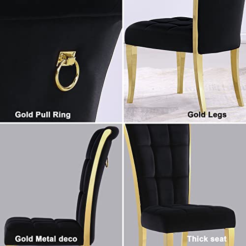 ACEDÉCOR Dining Chairs,Upholstered High end Velvet Dining Room Chair with Metal Back Ring Pull Trim Golden Legs, Modern Elegant Dining Chair for Living Room, Meeting Room, Kitchen (Black, Set of 6)