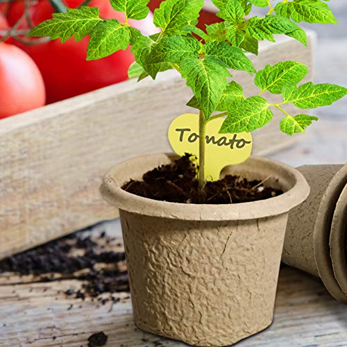 TCBWFY 4" Peat Pots for Seedlings Seed Starting Trays Pulp Plant Pots for Seedlings 30 Pack,Seed Starter Nursery Pots Seedling Pots for Vegetables Herbs Small Planting Pots