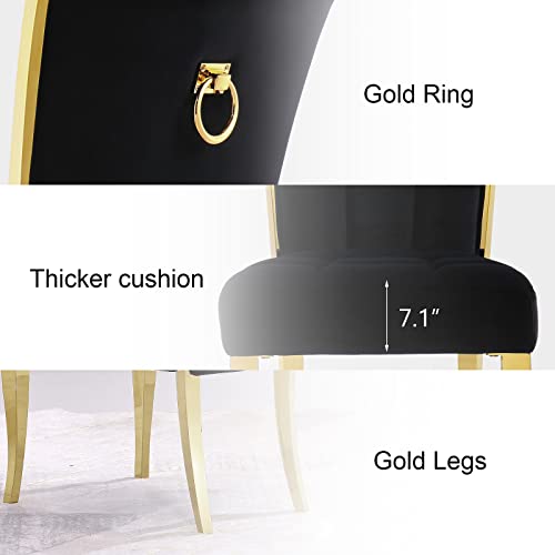 ACEDÉCOR Dining Chairs, Upholstered High-end Velvet Dining Room Chair with Metal Back Ring Pull Trim Golden Legs, Modern Elegant Dining Chair for Dining Room, Apartment, Kitchen (Black, Set of 2)