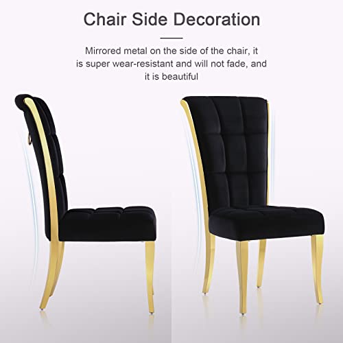 ACEDÉCOR Dining Chairs, Upholstered High-end Velvet Dining Room Chair with Metal Back Ring Pull Trim Golden Legs, Modern Elegant Dining Chair for Dining Room, Apartment, Kitchen (Black, Set of 2)