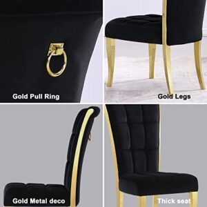 ACEDÉCOR Dining Chairs, Upholstered High-end Velvet Dining Room Chair with Metal Back Ring Pull Trim Golden Legs, Modern Elegant Dining Chair for Dining Room, Apartment, Kitchen (Black, Set of 2)