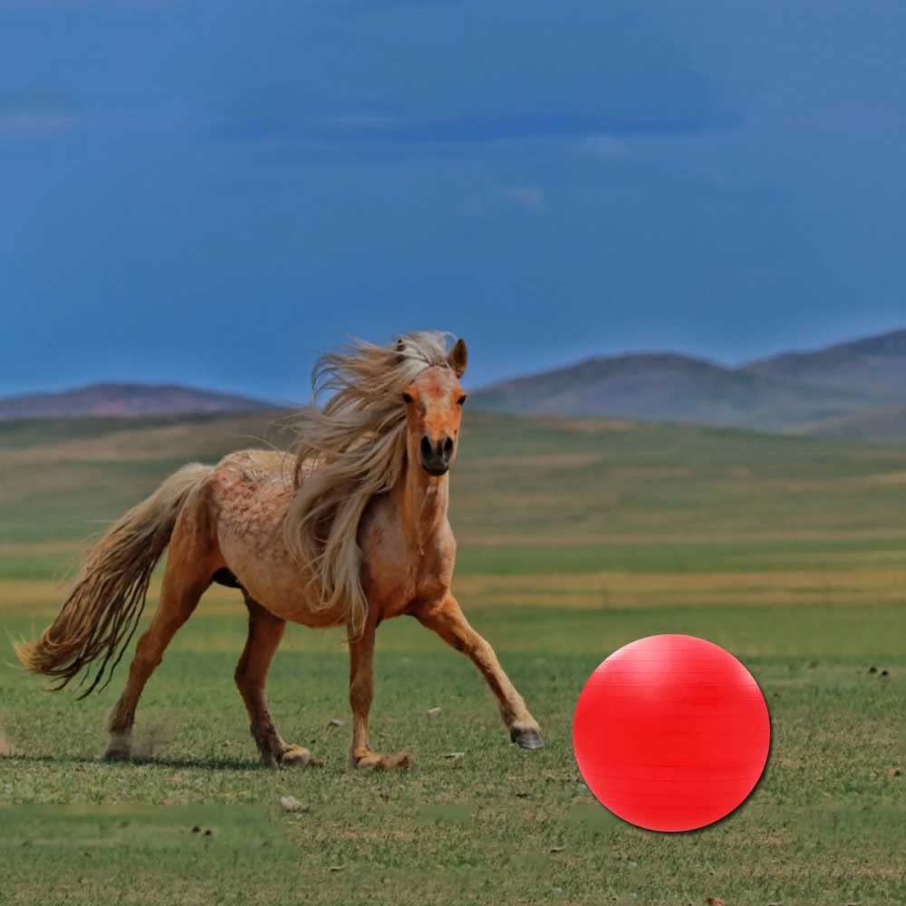 PLEURO Horse Ball Training Toy, Large Ball Horse Toys,Anti-Burst Horse Exercise Ball Toy with Inflator Pump for Horse Lamb Goat Enterainment Toy Ball (30", Red)