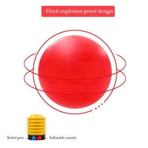 PLEURO Horse Ball Training Toy, Large Ball Horse Toys,Anti-Burst Horse Exercise Ball Toy with Inflator Pump for Horse Lamb Goat Enterainment Toy Ball (30", Red)