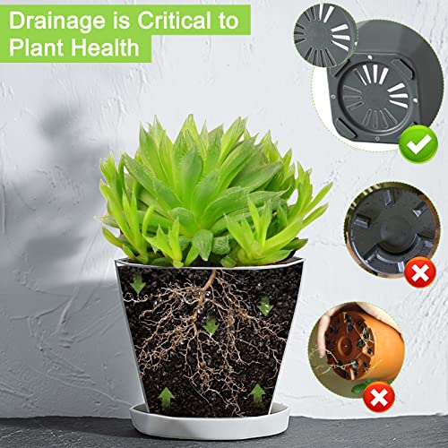 WYZGFRQS 7 Inch Plant Pots 6 Pack, Planters for Indoor Plants, Plastic Plant Pots with Drainage Holes and Saucers, Modern Flower Pots for Succulents, Snake Plant, African Violet, and Cactus