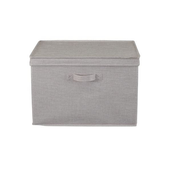 Household Essentials, Silver Wide KD Storage Lid Box