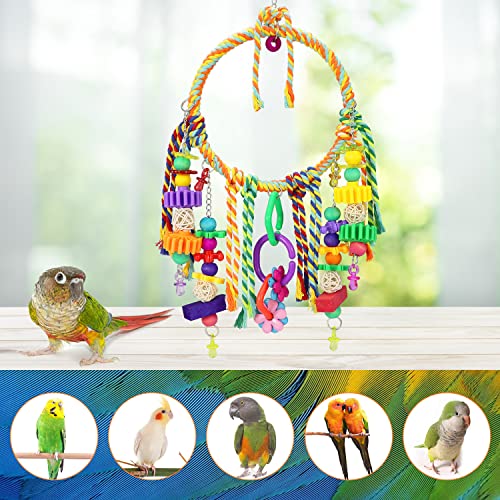 Bird Toys Bird Swing Toy Bird Perches Colorful Chewing Toys for Parakeets Meyers Cockatiel Conure Quaker Caique and Other Medium Sized Birds