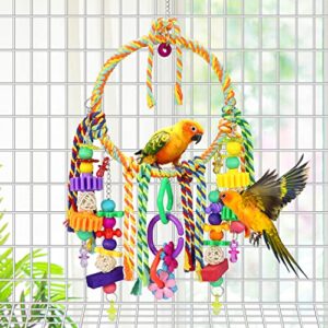 Bird Toys Bird Swing Toy Bird Perches Colorful Chewing Toys for Parakeets Meyers Cockatiel Conure Quaker Caique and Other Medium Sized Birds