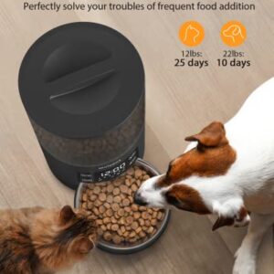 Molypet Automatic Cat Feeders with Timer - 4L Cat Food Dispenser of 6 Meals with 10S Voice Recorder and Desiccant Bag, Support Dual Power for Cats and Dogs