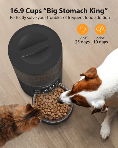 Molypet Automatic Cat Feeders with Timer - 4L Cat Food Dispenser of 6 Meals with 10S Voice Recorder and Desiccant Bag, Support Dual Power for Cats and Dogs