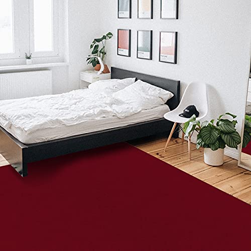 Indoor Area Rugs, Solid Color Wine Red Non-Slip Rubber Backing Rug, Non-Shedding Floor Carpet Washable Throw Rug for Living Room Bedroom Dining Home, 2' x 3'