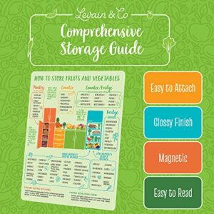 Kitchen Conversions & Produce Storage Guide Bundle | Minimize Food Waste and Become A Home Cooking Pro