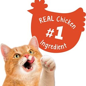 Aurora Pet Bundle (2) 20 oz Friskies Party Mix Original Crunch Chicken Cat Treats with AuroraPet Wipes