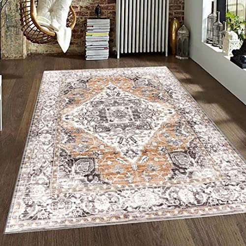 Boho Washable Area Rug 3x5 Bedroom Entry Throw Rug Medallion Stain Resistant Distressed Bohemian Ultra Thin Rug Non-Slip Carpet for Entrance Living Room Dining Table