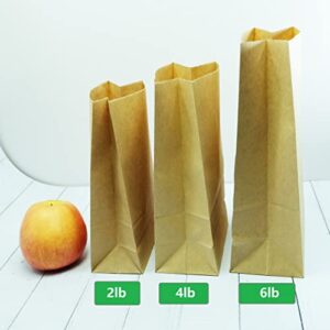 SIMPLECOOL 50pcs Paper Gift Bags Lunch Bags Bulk. Gift Bags with Thanks You Stickers. Durable Kraft Paper Bags Paper Grocery Bags. Paper Bags for Arts & Crafts. (2lb)