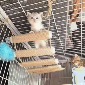 MGWYE Cat Rope Bridge Rope Ladder Cat Toy Cat Climbing Ladder Cat Climbing Frame Rope Ladder Cat Accessories