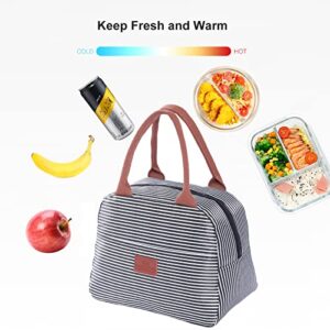 Eneteck Insulated Lunch Bag for Women, Reusable Lunch box for Adults, Insulated lunchbox Men Women, Lunch Tote Bags for Work, Picnic, Camping or Travel(Strip)