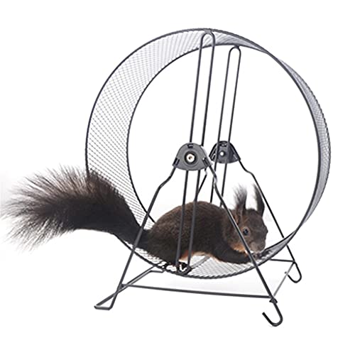 MGWYE Household Small Pet Hamster Running Wheel with Stand Running Jogging Toy Playing (Color : B)